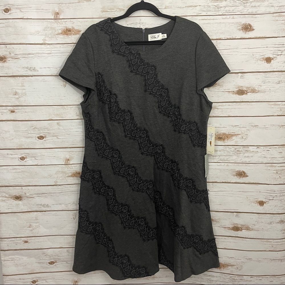 Eliza J Gray Black Lace Overlay Short Sleeve Fit & Flare Dress NWT